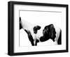 Pinto-Samantha Carter-Framed Art Print