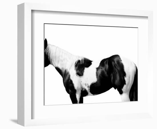 Pinto-Samantha Carter-Framed Art Print