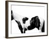 Pinto-Samantha Carter-Framed Art Print