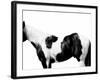 Pinto-Samantha Carter-Framed Art Print