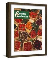 "Pints of Fruit and Berries," Country Gentleman Cover, July 1, 1949-J.c. Allen-Framed Giclee Print