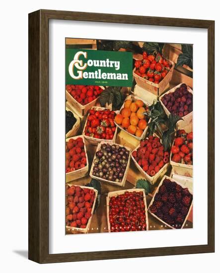 "Pints of Fruit and Berries," Country Gentleman Cover, July 1, 1949-J.c. Allen-Framed Giclee Print