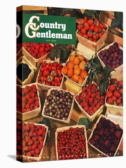 "Pints of Fruit and Berries," Country Gentleman Cover, July 1, 1949-J.c. Allen-Stretched Canvas