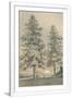 Gramercy White