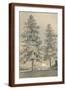 Brown Frame