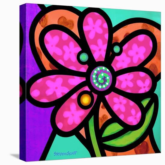 Pinwheel Daisy Pink-Steven Scott-Stretched Canvas