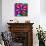 Pinwheel Daisy Pink-Steven Scott-Giclee Print displayed on a wall