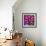 Pinwheel Daisy Pink-Steven Scott-Framed Giclee Print displayed on a wall