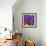 Pinwheel Daisy Purple-Steven Scott-Framed Giclee Print displayed on a wall