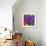 Pinwheel Daisy Purple-Steven Scott-Framed Giclee Print displayed on a wall