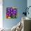 Pinwheel Daisy Purple-Steven Scott-Giclee Print displayed on a wall