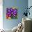 Pinwheel Daisy Purple-Steven Scott-Stretched Canvas displayed on a wall