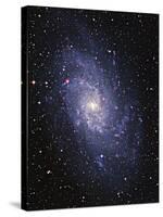 Pinwheel Galaxy (M33)-Slawik Birkle-Stretched Canvas