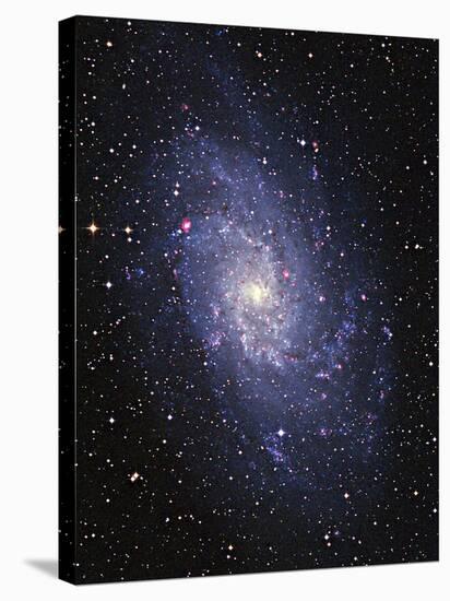 Pinwheel Galaxy (M33)-Slawik Birkle-Stretched Canvas