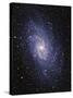 Pinwheel Galaxy (M33)-Slawik Birkle-Stretched Canvas