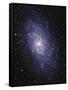 Pinwheel Galaxy (M33)-Slawik Birkle-Framed Stretched Canvas