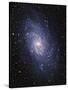 Pinwheel Galaxy (M33)-Slawik Birkle-Stretched Canvas