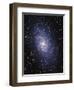 Pinwheel Galaxy (M33)-Slawik Birkle-Framed Premium Photographic Print