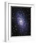 Pinwheel Galaxy (M33)-Slawik Birkle-Framed Premium Photographic Print