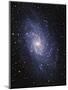 Pinwheel Galaxy (M33)-Slawik Birkle-Mounted Premium Photographic Print