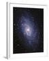 Pinwheel Galaxy (M33)-Slawik Birkle-Framed Premium Photographic Print