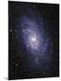 Pinwheel Galaxy (M33)-Slawik Birkle-Mounted Photographic Print