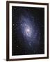 Pinwheel Galaxy (M33)-Slawik Birkle-Framed Photographic Print