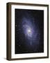 Pinwheel Galaxy (M33)-Slawik Birkle-Framed Photographic Print