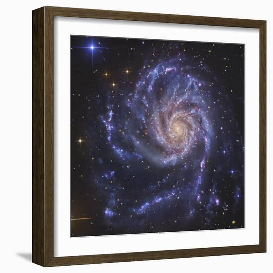 Pinwheel Galaxy, NGC 5457-Stocktrek Images-Framed Photographic Print