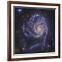 Pinwheel Galaxy, NGC 5457-Stocktrek Images-Framed Photographic Print