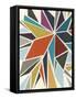 Pinwheel I-Erica J^ Vess-Framed Stretched Canvas