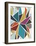 Pinwheel II-Erica J^ Vess-Framed Art Print