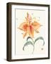 Pinwheel Passion-Nan Rae-Framed Art Print