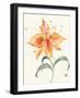 Pinwheel Passion-Nan Rae-Framed Art Print