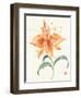 Pinwheel Passion-Nan Rae-Framed Art Print