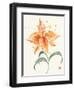 Pinwheel Passion-Nan Rae-Framed Art Print