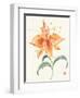 Pinwheel Passion-Nan Rae-Framed Art Print