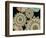 Pinwheel Wing Dune-Belen Mena-Framed Giclee Print