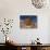Pinyon Pine atop Sandstone Hoodoo-James Randklev-Photographic Print displayed on a wall