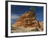 Pinyon Pine atop Sandstone Hoodoo-James Randklev-Framed Photographic Print