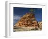 Pinyon Pine atop Sandstone Hoodoo-James Randklev-Framed Photographic Print