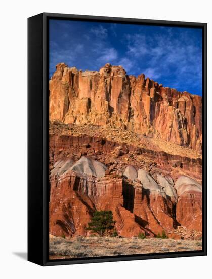 Pinyon Pine Below Cliffs, Capitol Reef National Park, Utah, USA-Scott T. Smith-Framed Stretched Canvas