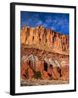 Pinyon Pine Below Cliffs, Capitol Reef National Park, Utah, USA-Scott T. Smith-Framed Photographic Print