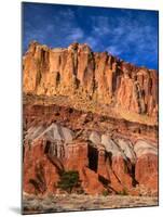 Pinyon Pine Below Cliffs, Capitol Reef National Park, Utah, USA-Scott T. Smith-Mounted Photographic Print