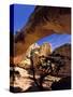 Pinyon Pine Below Hickman Bridge, Capitol Reef National Park, Utah, USA-Scott T. Smith-Stretched Canvas