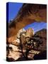 Pinyon Pine Below Hickman Bridge, Capitol Reef National Park, Utah, USA-Scott T. Smith-Stretched Canvas