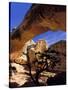 Pinyon Pine Below Hickman Bridge, Capitol Reef National Park, Utah, USA-Scott T. Smith-Stretched Canvas