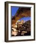 Pinyon Pine Below Hickman Bridge, Capitol Reef National Park, Utah, USA-Scott T. Smith-Framed Photographic Print