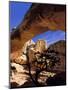 Pinyon Pine Below Hickman Bridge, Capitol Reef National Park, Utah, USA-Scott T. Smith-Mounted Photographic Print