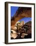 Pinyon Pine Below Hickman Bridge, Capitol Reef National Park, Utah, USA-Scott T. Smith-Framed Photographic Print